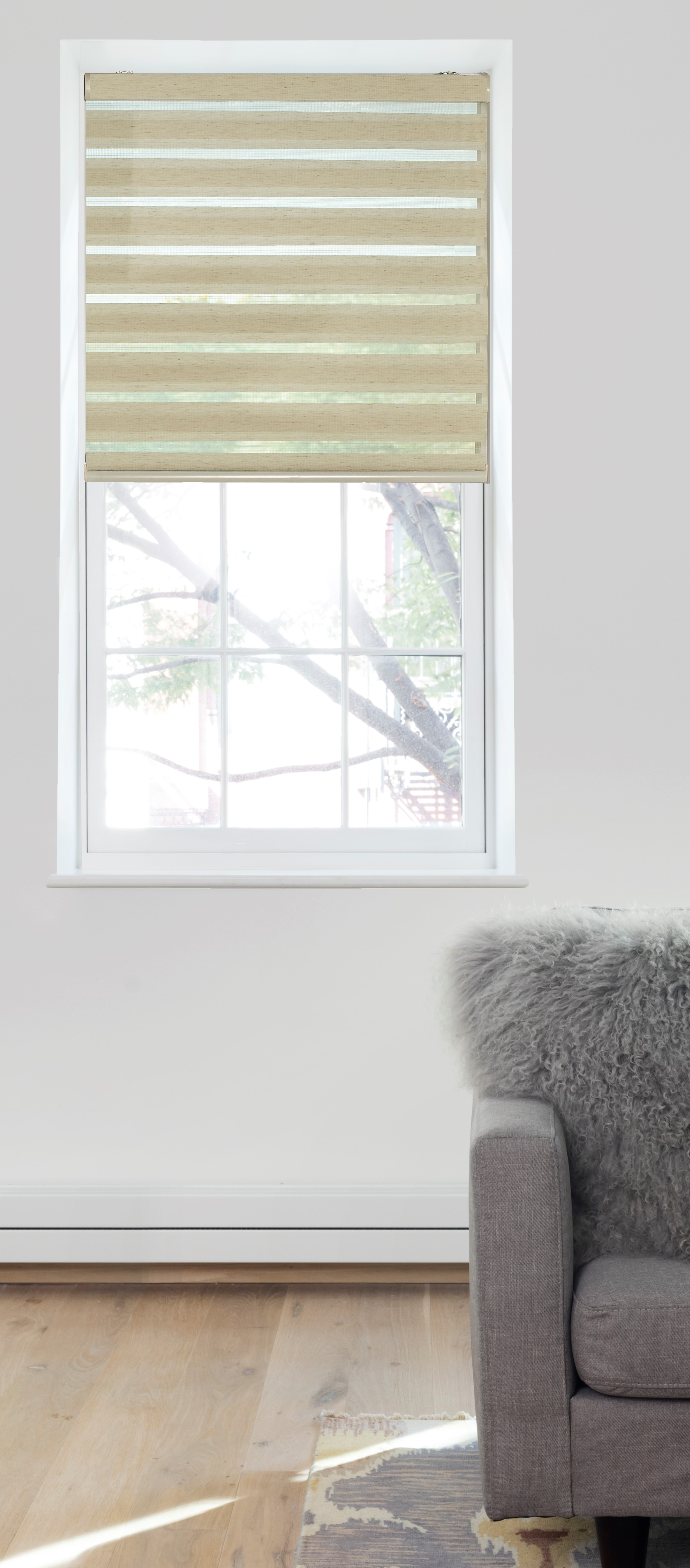 Light Filtering Zebra Shades HeyBlinds